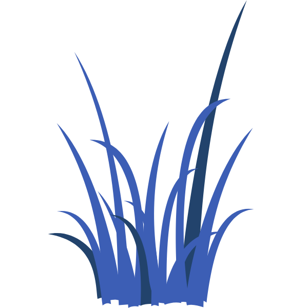 There can be significant tax ramifications to the type of entity you choose for your business. In many situations, current rules allow taxpayers to choose how they wish their entities to be classified for U.S. federal income tax purposes. This is particularly true for the limited liability company, an entity often chosen by entrepreneurs. With flexibility and choice comes complexity. Jenny can help you understand your choices and their implications and guide you to an entity form that is perfect for your business.